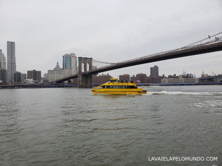 NEW YORK WATER TAXI